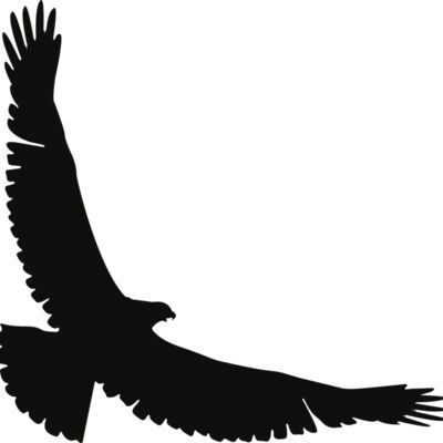 Eagle   Clipart 2 Thumbnail