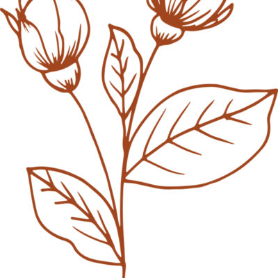 Flowers 8 Thumbnail